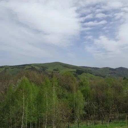 Gorzenska Przystan 別荘 ヴァドヴィツェ